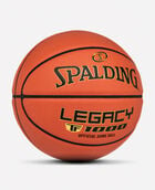 Legacy TF-1000 NJCAA Indoor Game Basketball 